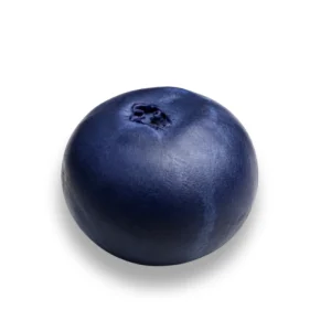 Blueberry Bloom Fruit Pastry