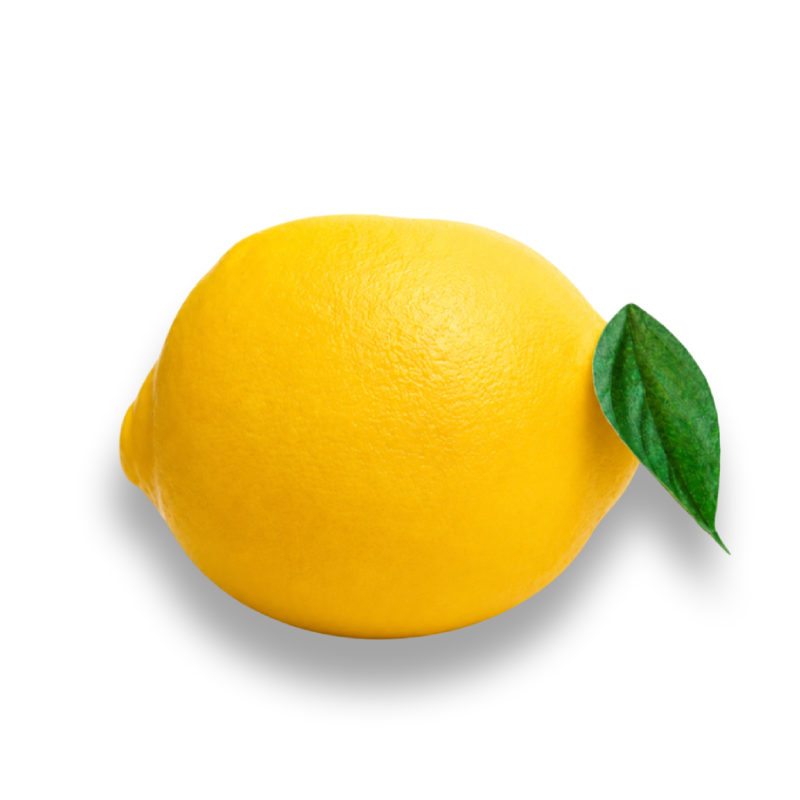 Refreshing Lemon Bliss Fruit Pastry
