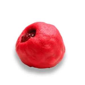 Ruby Raspberry Fruit Pastry